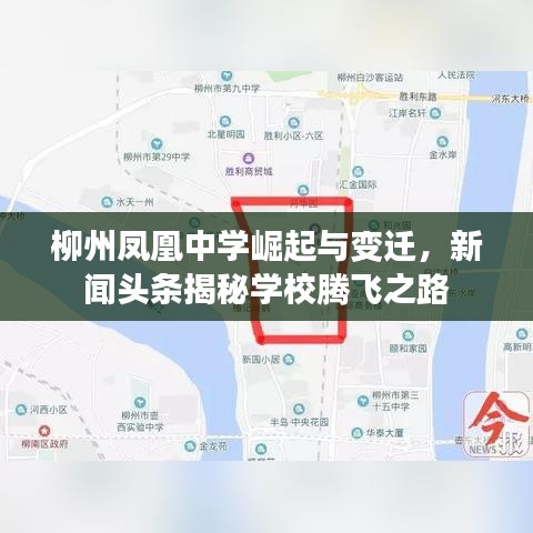 柳州凤凰中学崛起与变迁，新闻头条揭秘学校腾飞之路