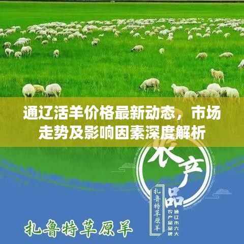 通辽活羊价格最新动态，市场走势及影响因素深度解析