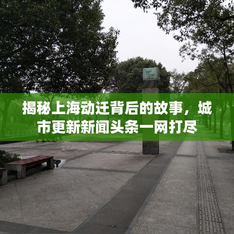 揭秘上海动迁背后的故事，城市更新新闻头条一网打尽