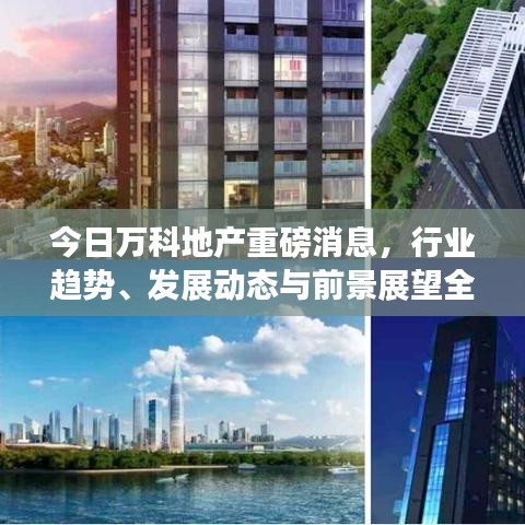 今日万科地产重磅消息，行业趋势、发展动态与前景展望全解析