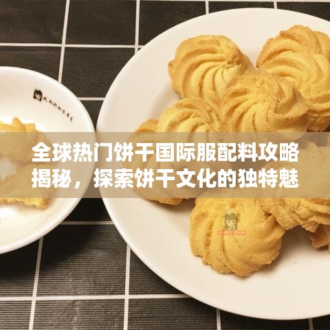 全球热门饼干国际服配料攻略揭秘，探索饼干文化的独特魅力