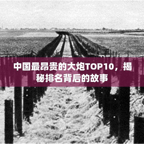 中国最昂贵的大炮TOP10，揭秘排名背后的故事