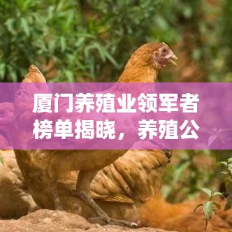 厦门养殖业领军者榜单揭晓，养殖公司排名一览