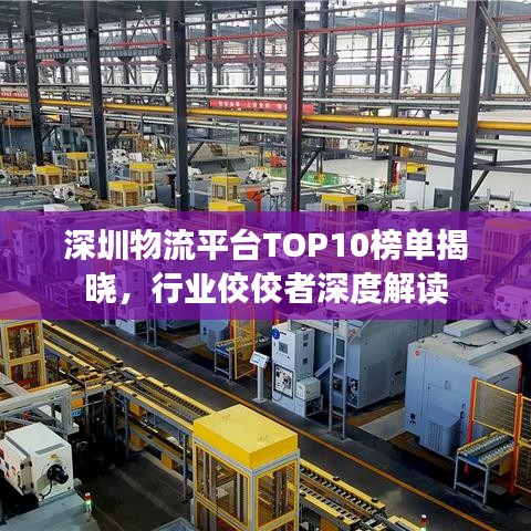 深圳物流平台TOP10榜单揭晓，行业佼佼者深度解读