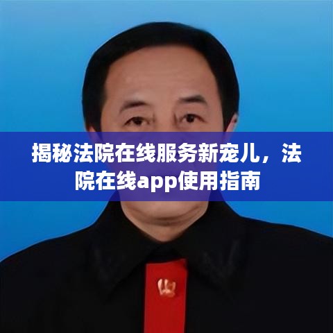 揭秘法院在线服务新宠儿，法院在线app使用指南
