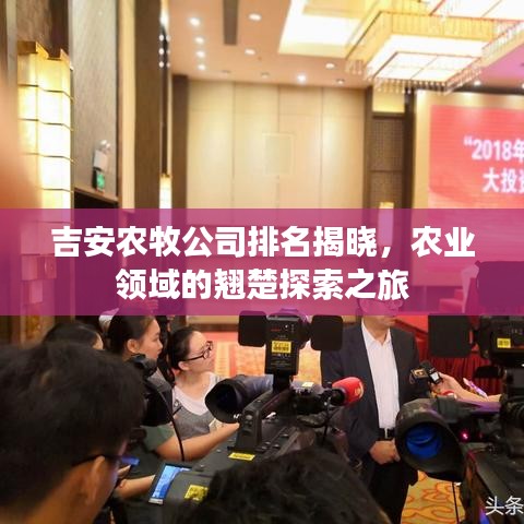 吉安农牧公司排名揭晓，农业领域的翘楚探索之旅