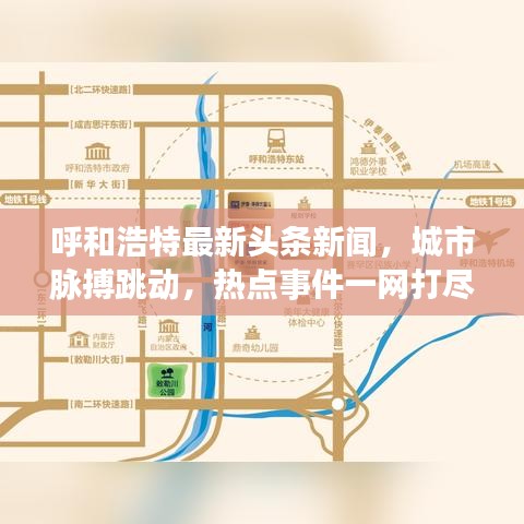 呼和浩特最新头条新闻，城市脉搏跳动，热点事件一网打尽