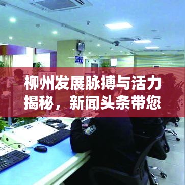 柳州发展脉搏与活力揭秘，新闻头条带您洞察城市变迁