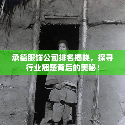 承德服饰公司排名揭晓，探寻行业翘楚背后的奥秘！