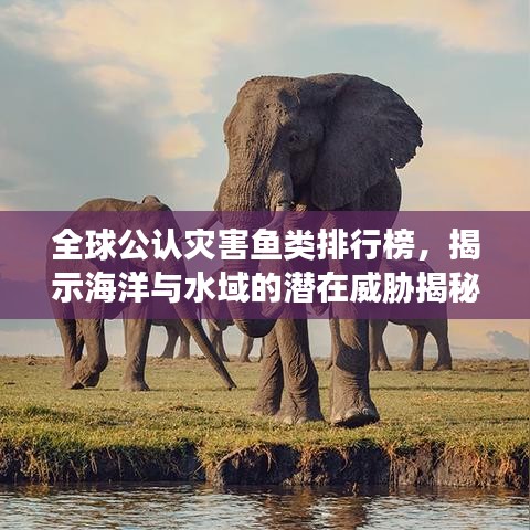 全球公认灾害鱼类排行榜，揭示海洋与水域的潜在威胁揭秘