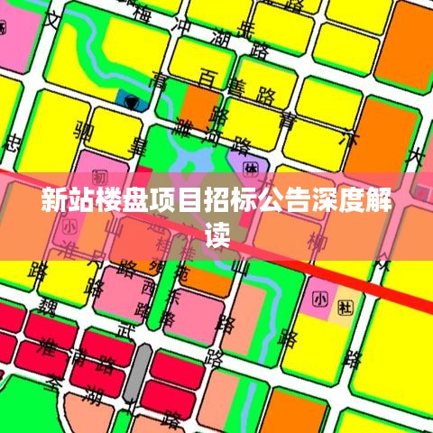 新站楼盘项目招标公告深度解读