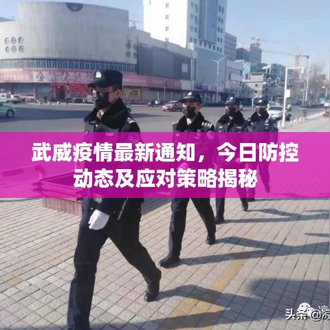 武威疫情最新通知，今日防控动态及应对策略揭秘