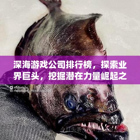 深海游戏公司排行榜，探索业界巨头，挖掘潜在力量崛起之路！