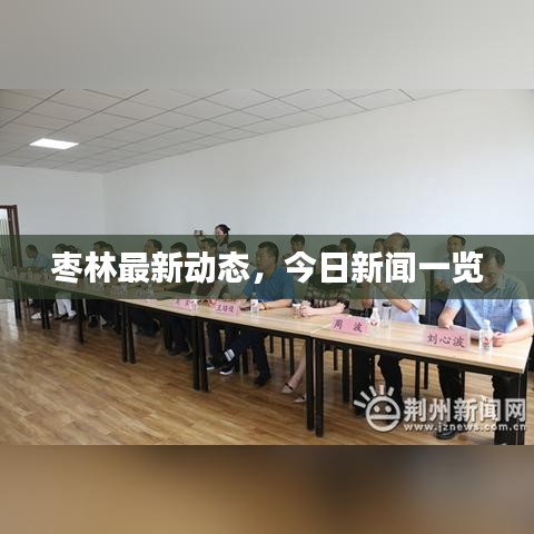 枣林最新动态，今日新闻一览