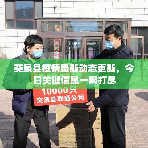 突泉县疫情最新动态更新，今日关键信息一网打尽