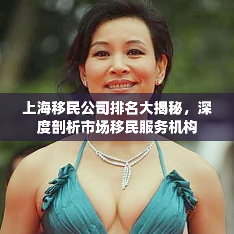 上海移民公司排名大揭秘，深度剖析市场移民服务机构