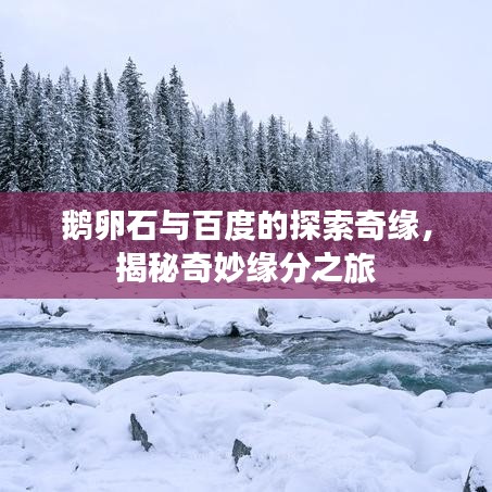 鹅卵石与百度的探索奇缘，揭秘奇妙缘分之旅