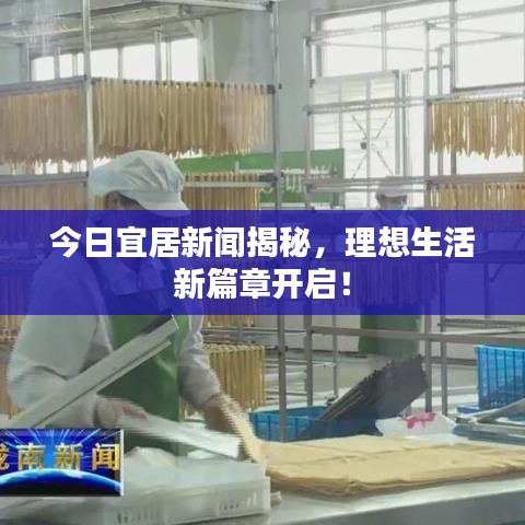 今日宜居新闻揭秘，理想生活新篇章开启！