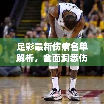 足彩最新伤病名单解析，全面洞悉伤员动态与应对策略！