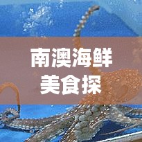 南澳海鲜美食探秘，绝佳的海滨旅游胜地攻略！