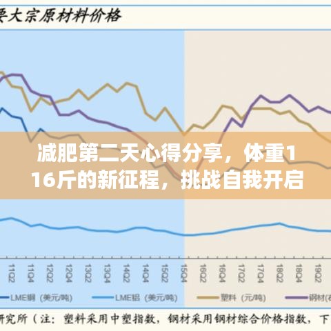 减肥第二天心得分享，体重116斤的新征程，挑战自我开启瘦身之旅！