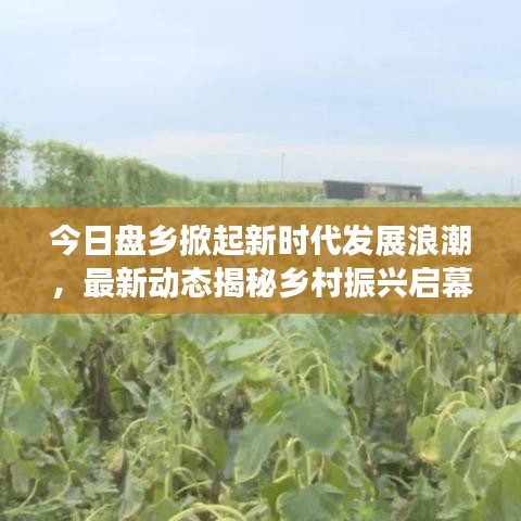 今日盘乡掀起新时代发展浪潮，最新动态揭秘乡村振兴启幕时刻