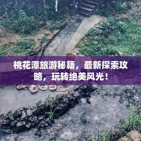 桃花潭旅游秘籍，最新探索攻略，玩转绝美风光！