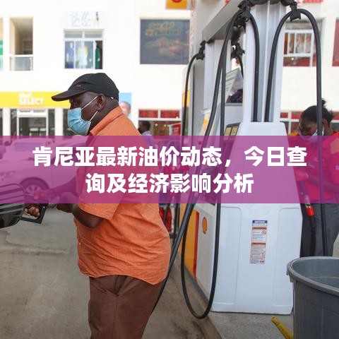 肯尼亚最新油价动态，今日查询及经济影响分析