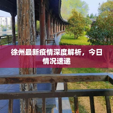 徐州最新疫情深度解析，今日情况速递