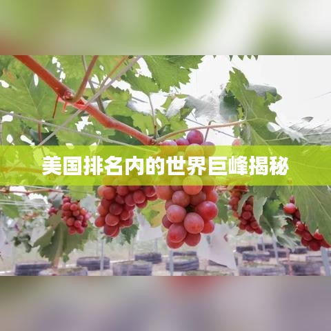美国排名内的世界巨峰揭秘