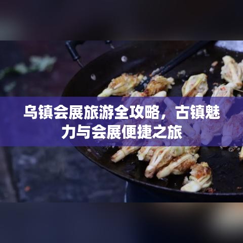 乌镇会展旅游全攻略，古镇魅力与会展便捷之旅