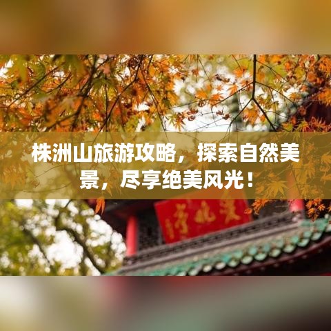 株洲山旅游攻略，探索自然美景，尽享绝美风光！