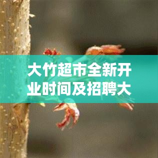 2025年6月11日 第48页