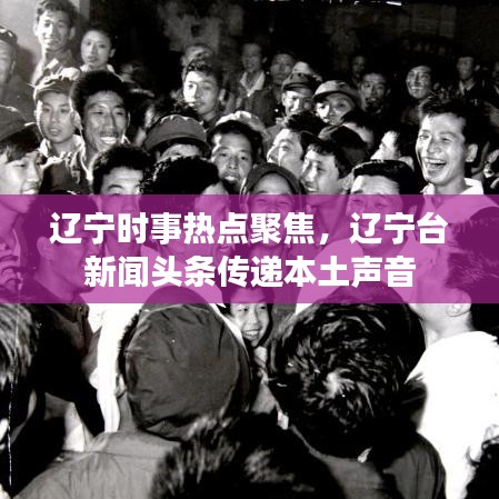 辽宁时事热点聚焦，辽宁台新闻头条传递本土声音