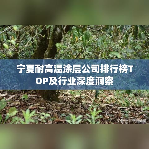 宁夏耐高温涂层公司排行榜TOP及行业深度洞察