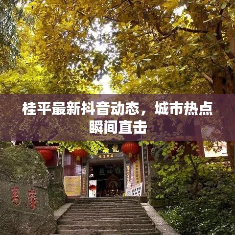 桂平最新抖音动态，城市热点瞬间直击