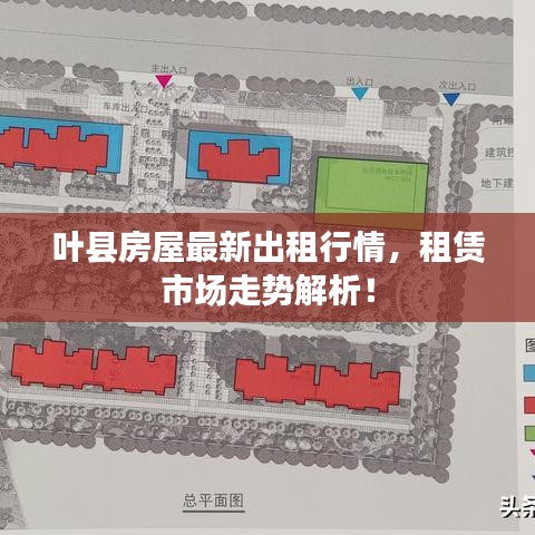 叶县房屋最新出租行情，租赁市场走势解析！