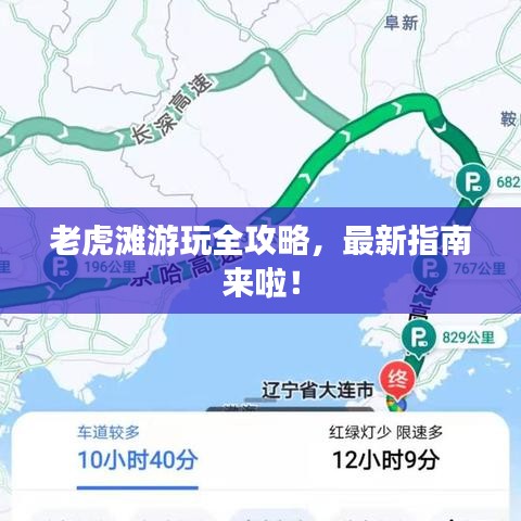老虎滩游玩全攻略，最新指南来啦！