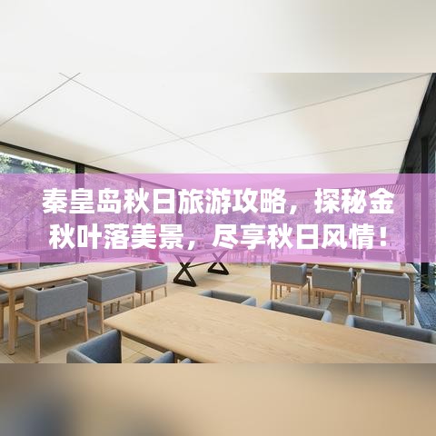秦皇岛秋日旅游攻略，探秘金秋叶落美景，尽享秋日风情！
