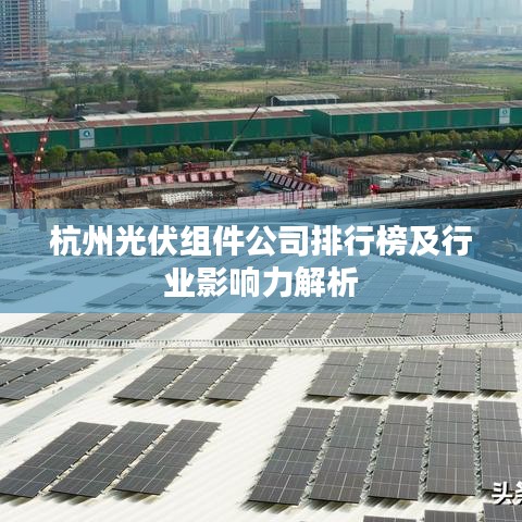 杭州光伏组件公司排行榜及行业影响力解析