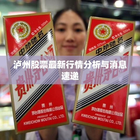 泸州股票最新行情分析与消息速递