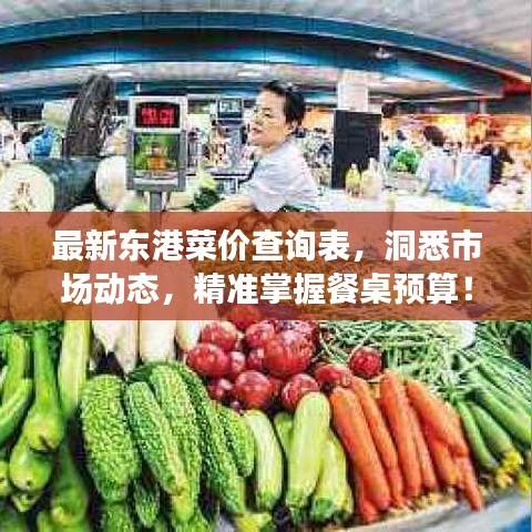 最新东港菜价查询表，洞悉市场动态，精准掌握餐桌预算！