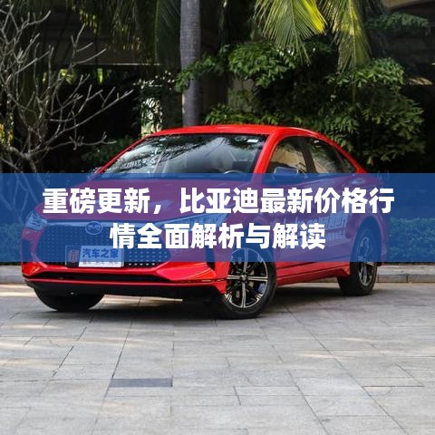 重磅更新，比亚迪最新价格行情全面解析与解读