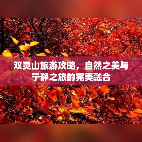双灵山旅游攻略，自然之美与宁静之旅的完美融合