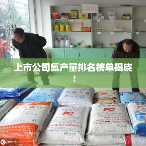上市公司氨产量排名榜单揭晓！