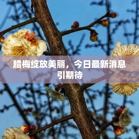 2025年6月11日 第4页