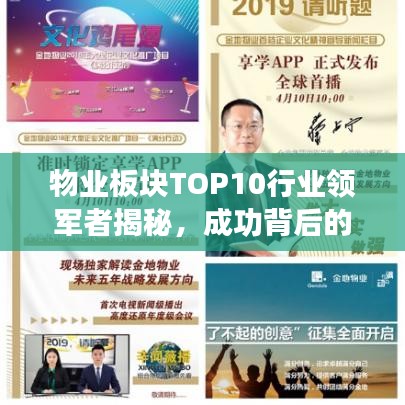 物业板块TOP10行业领军者揭秘，成功背后的秘密
