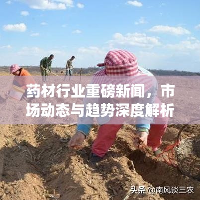 2025年6月11日 第2页