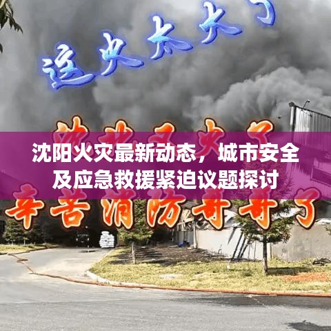 沈阳火灾最新动态，城市安全及应急救援紧迫议题探讨