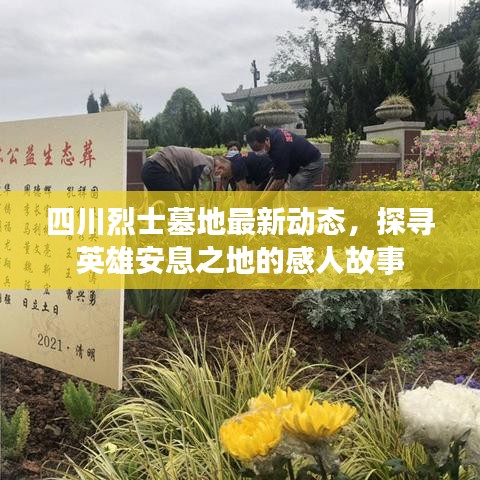 四川烈士墓地最新动态，探寻英雄安息之地的感人故事